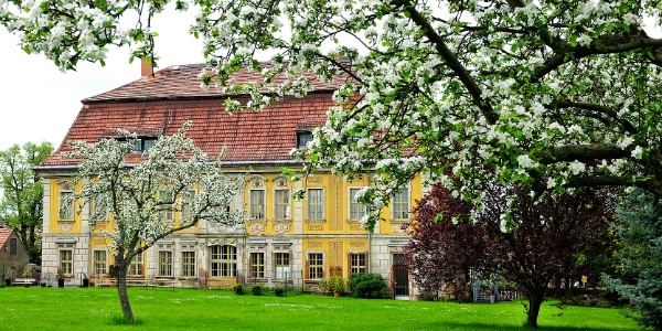 Bücherschrank Kössern – Bild 5