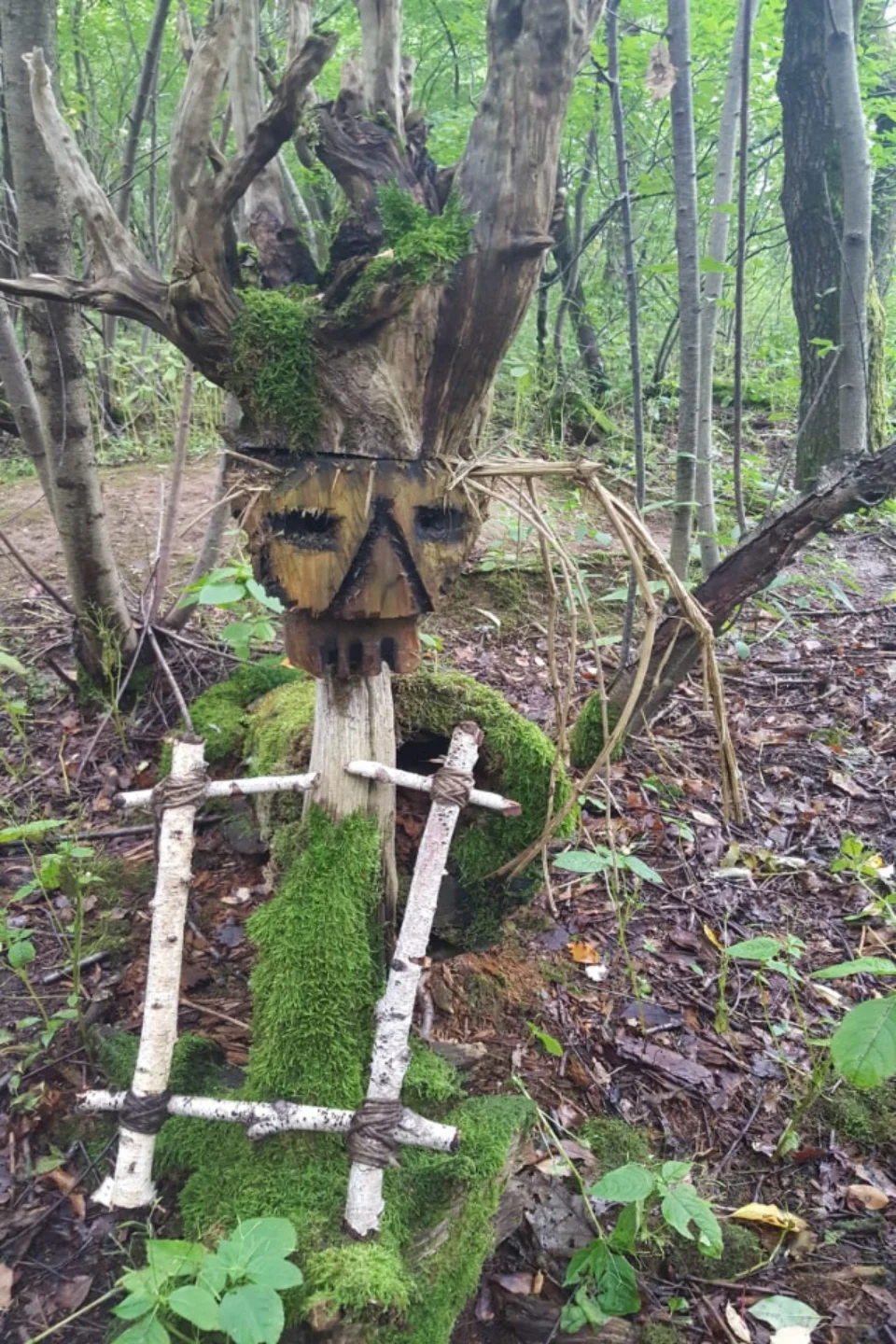 Waldgeisterpfad – Bild 2