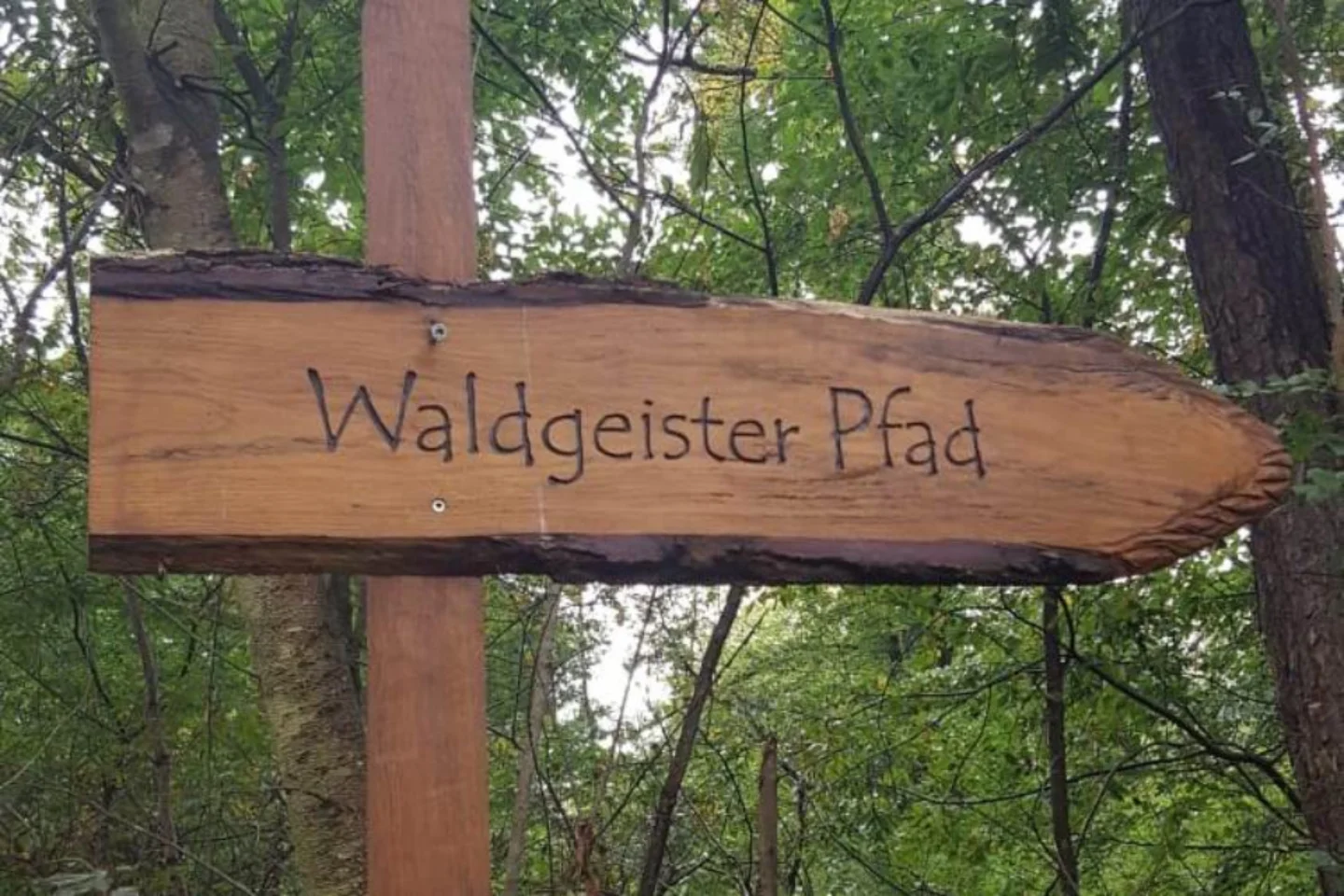 Waldgeisterpfad – Bild 3