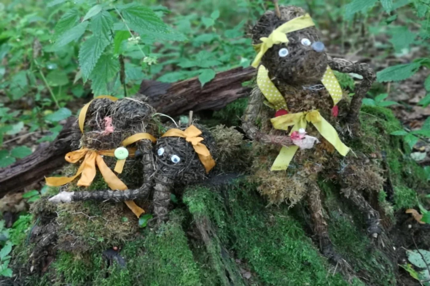 Waldgeisterpfad – Bild 4