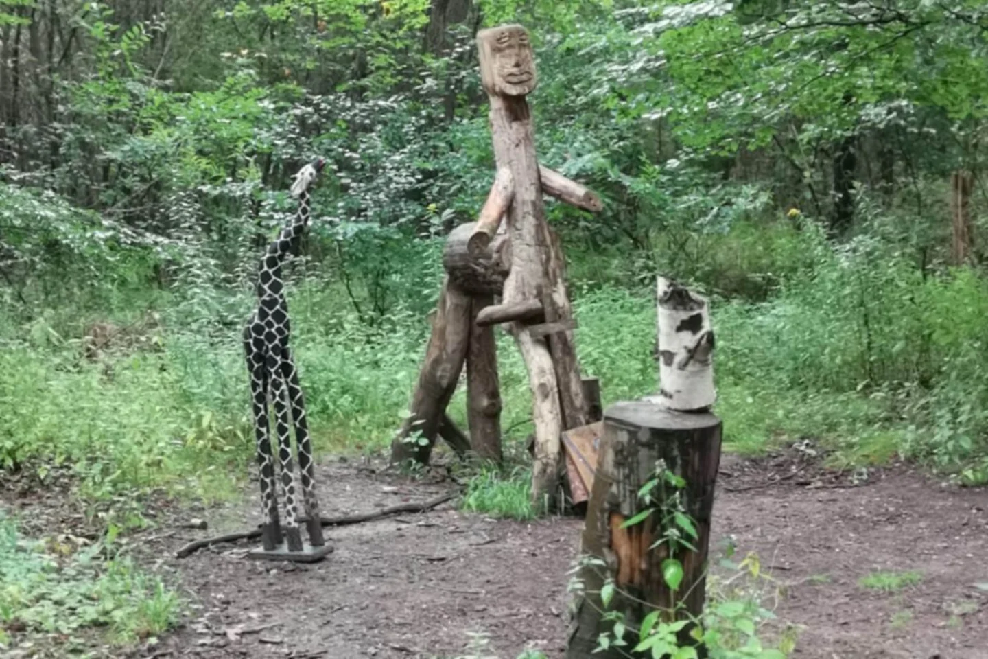 Waldgeisterpfad – Bild 5