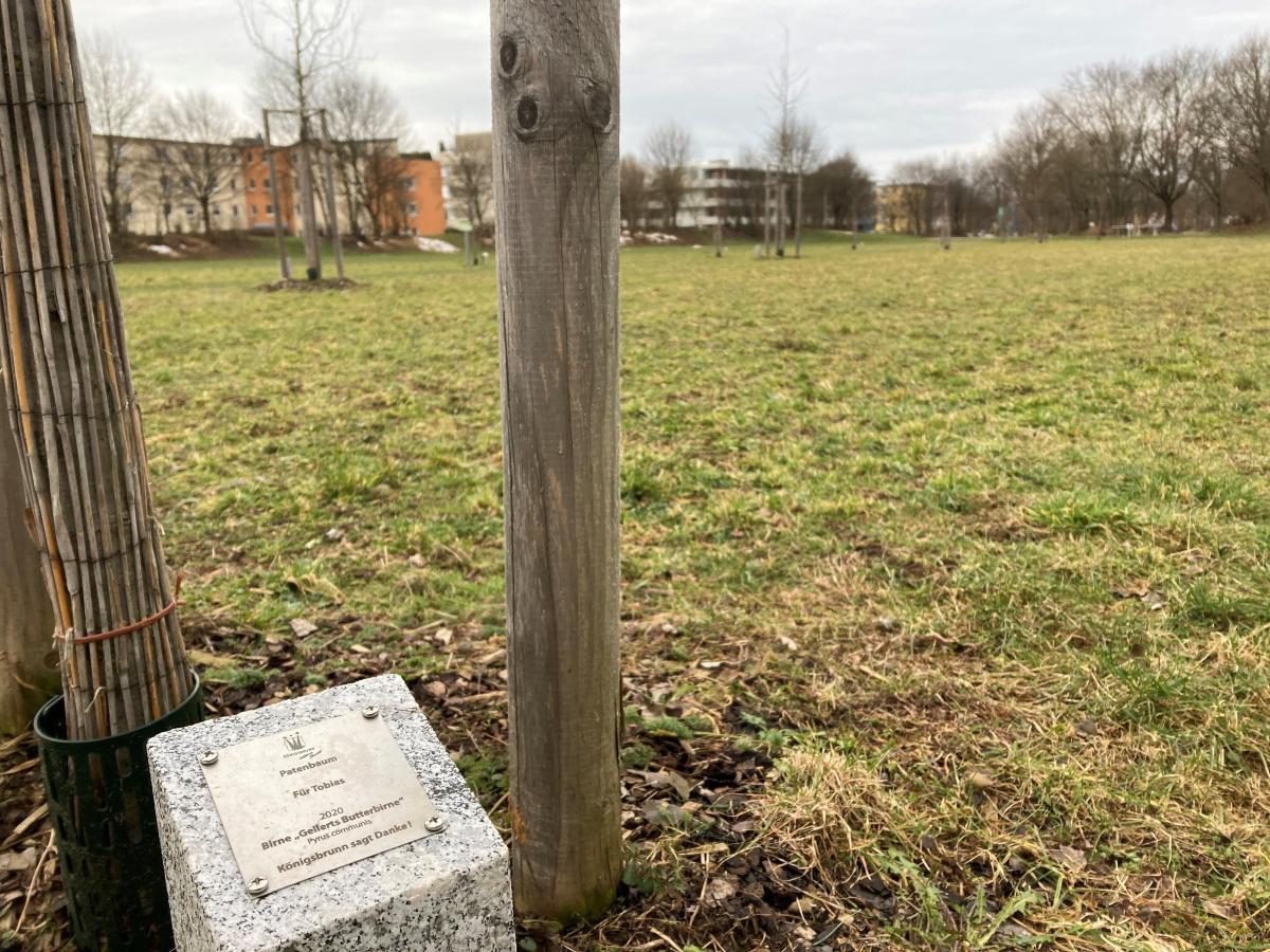 Wasserspielplatz Königsbrunn – Bild 2