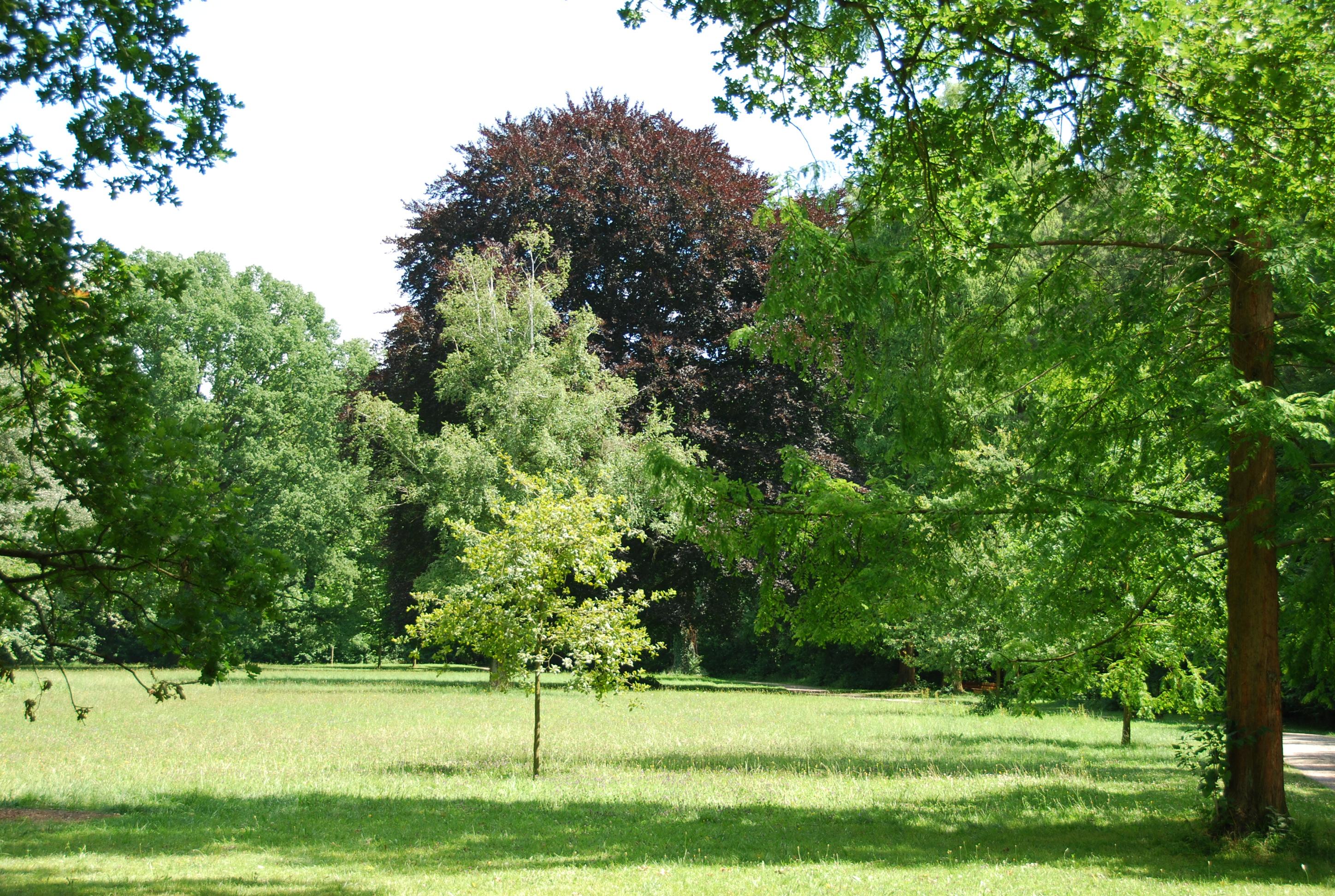 Stadtpark – Bild 3