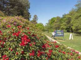 Playground – Bild 3