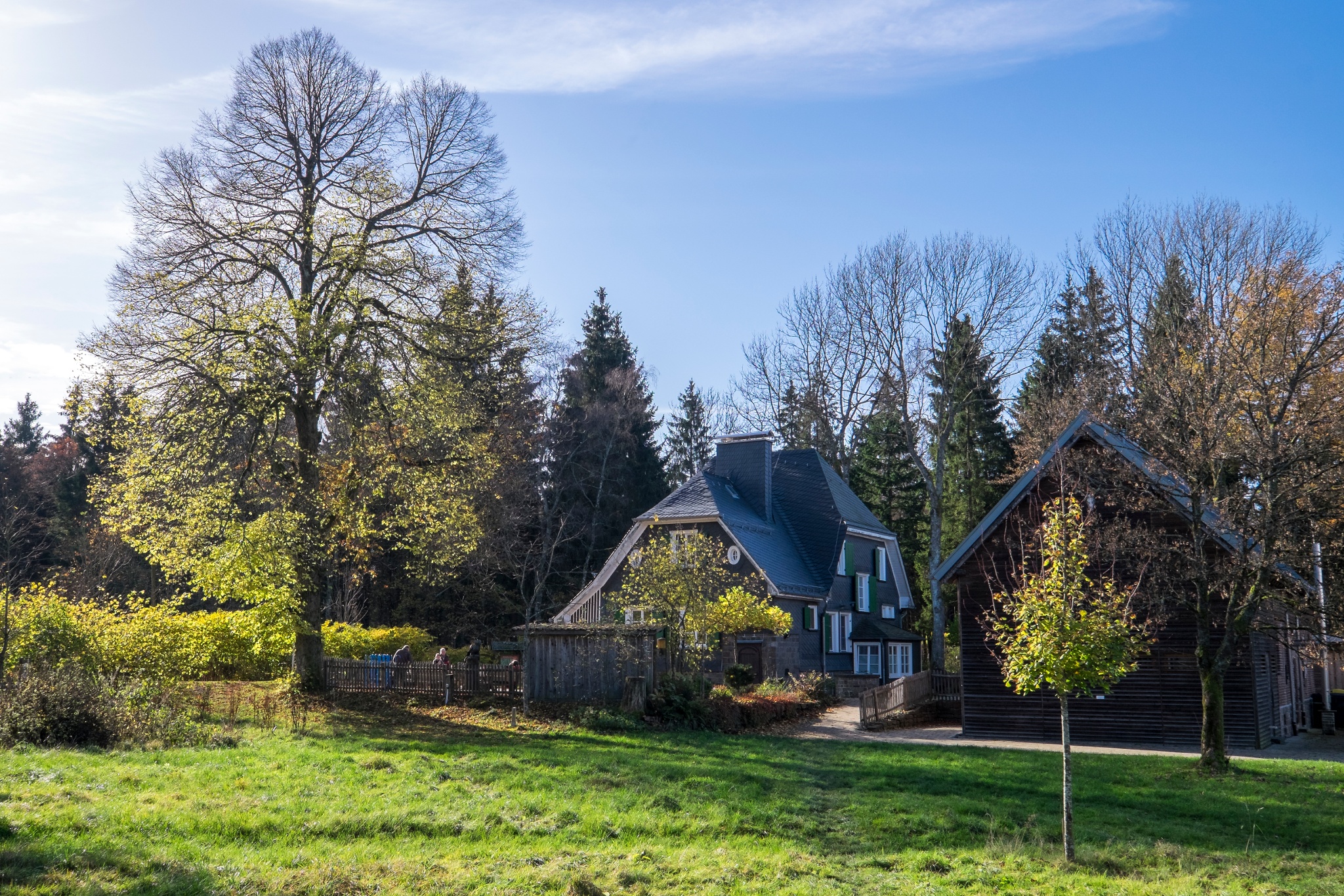 Waldinformationszentrum Forsthaus Hohenroth – Bild 4