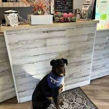 The Bark Park – Bild 5