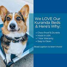 The Bark Park – Bild 6