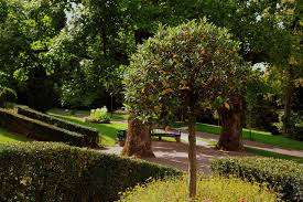 Park Mon Repos – Bild 5