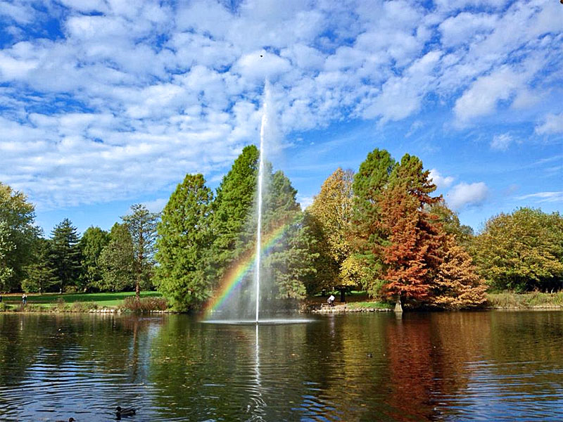 BürgerFitness im Stadtpark – Bild 4