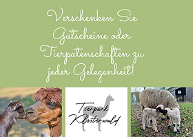 Tierpark Klosterwald – Bild 4