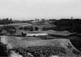 Sunnylea Park – Bild 5