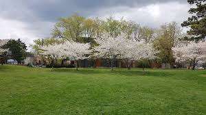 Sunnylea Park – Bild 6