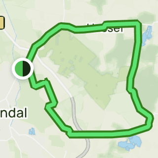 Stendaler Stadtforst – Bild 4