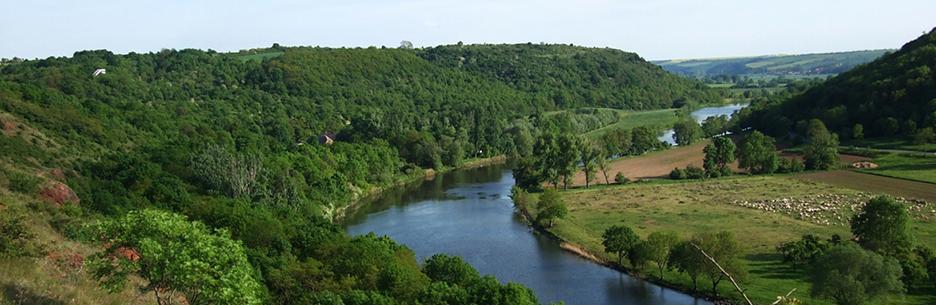 Stendaler Stadtforst – Bild 5