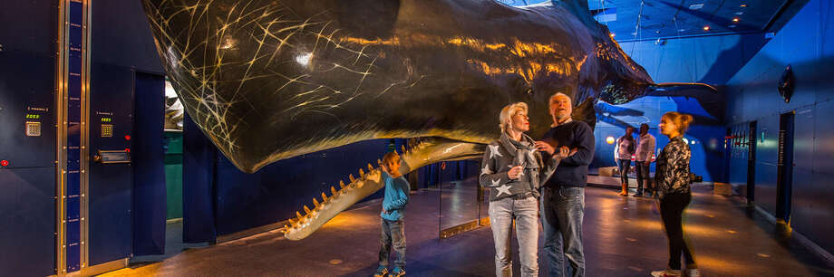 Nationalpark-Zentrum Multimar Wattforum – Bild 2