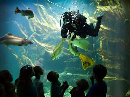 Nationalpark-Zentrum Multimar Wattforum – Bild 5