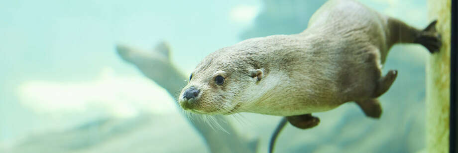 Nationalpark-Zentrum Multimar Wattforum – Bild 6