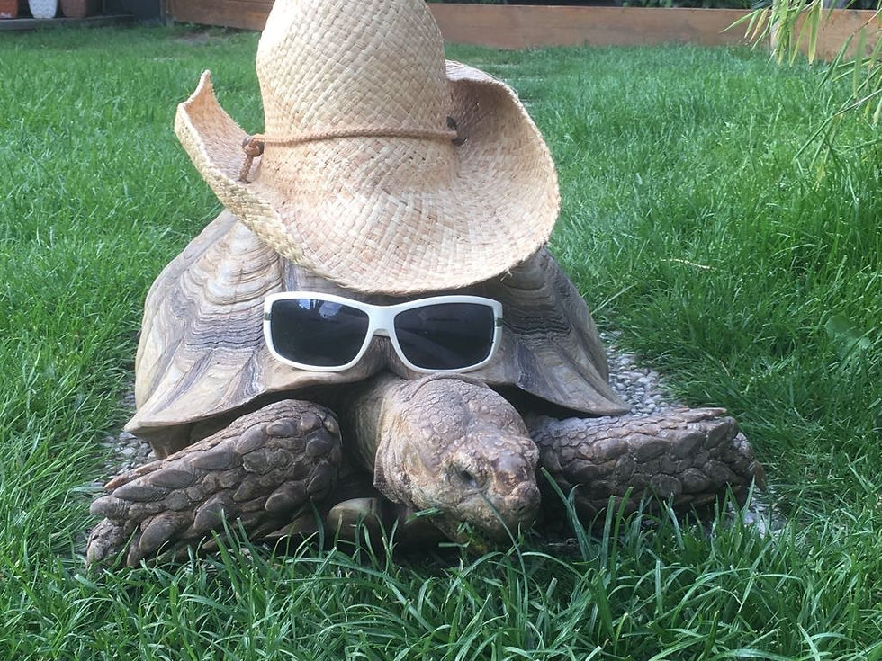 Schildipark Panketal – Bild 2