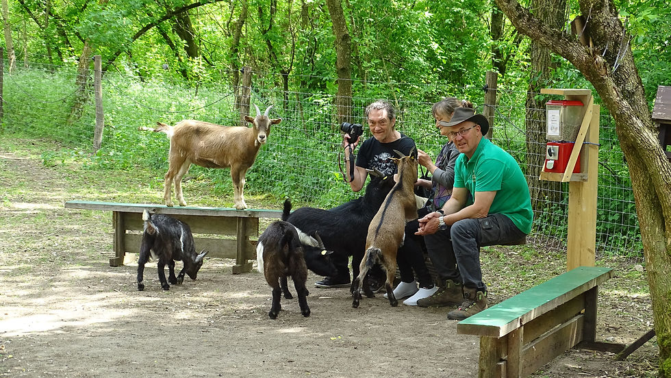 Schildipark Panketal – Bild 3