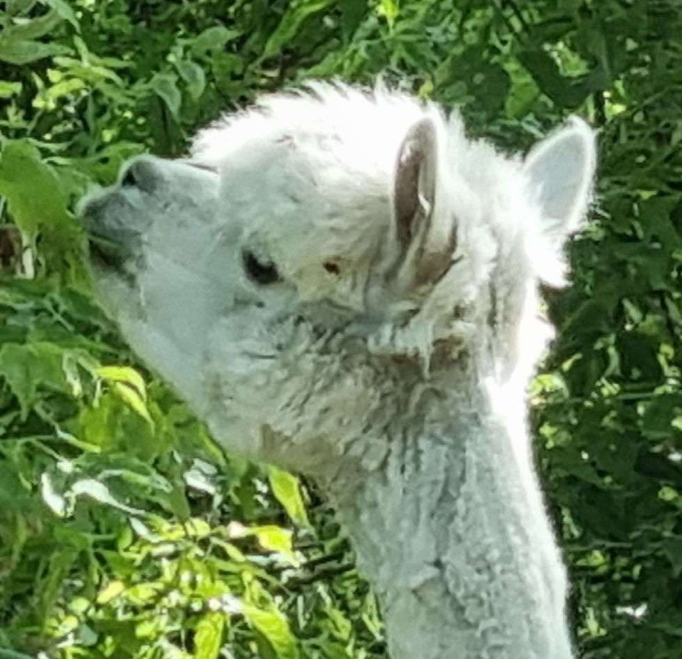 Schildipark Panketal – Bild 4