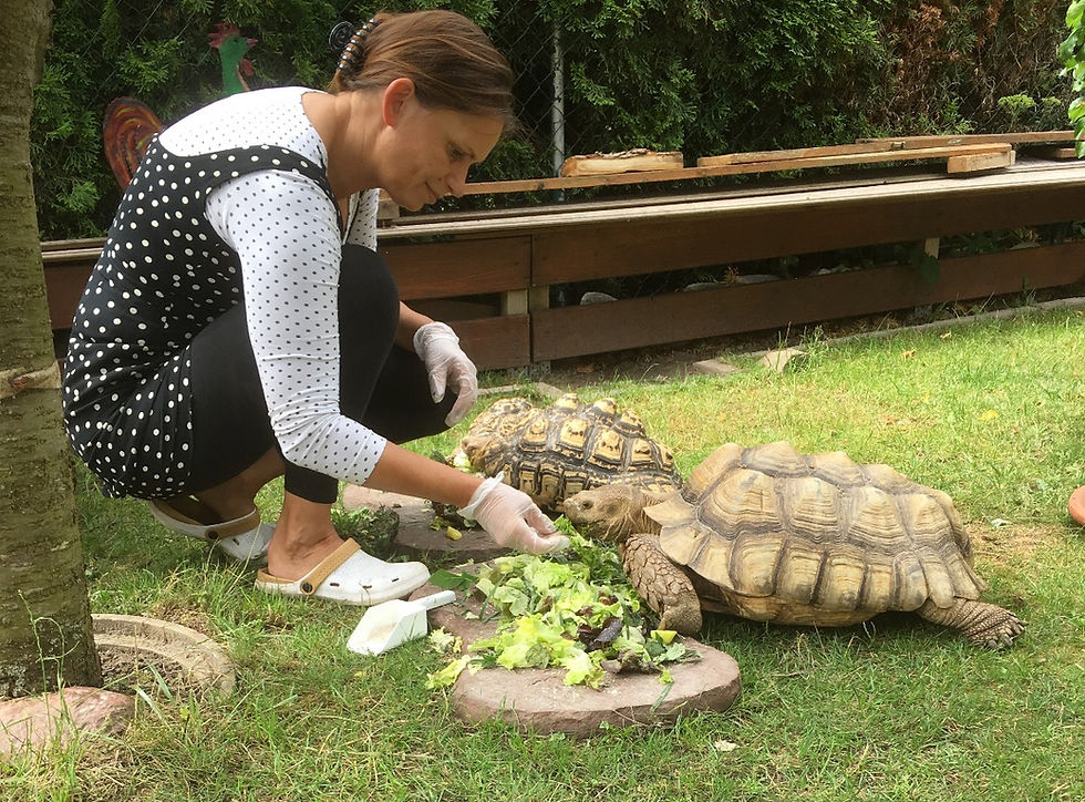 Schildipark Panketal – Bild 6