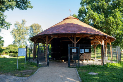 Stadtpark Merzig – Bild 2