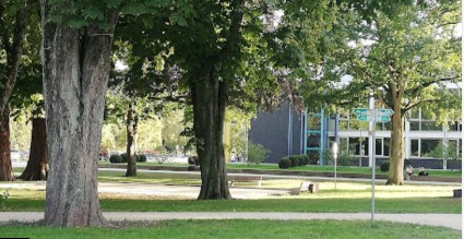 Stadtpark Merzig – Bild 4