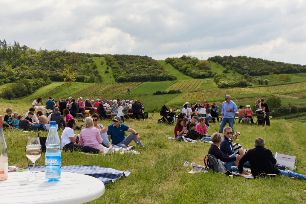 Dromersheimer Wingertschaukel – Bild 3