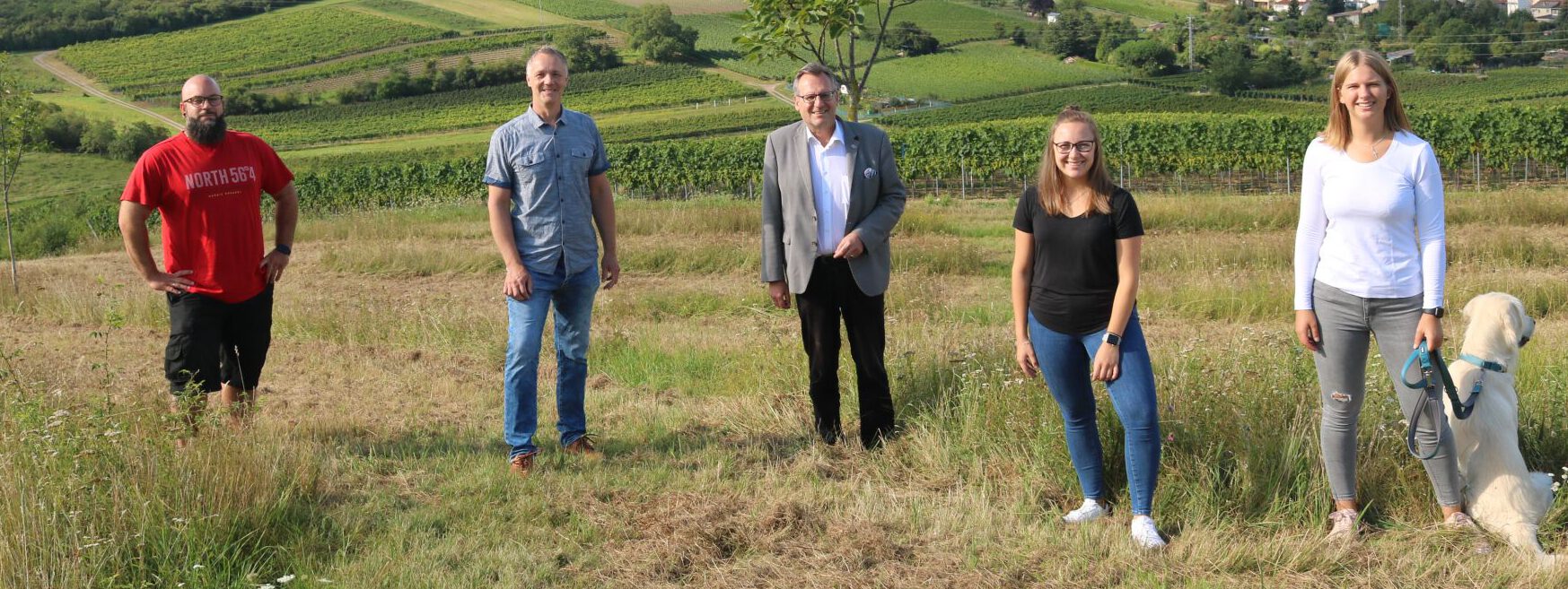 Dromersheimer Wingertschaukel – Bild 4