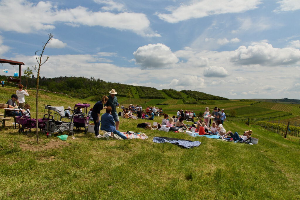 Dromersheimer Wingertschaukel – Bild 5