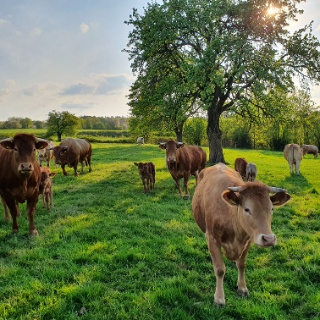 Hofladen Zum 1. Brückle – Bild 2