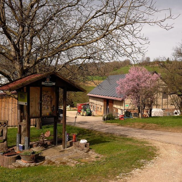 Frauenholzhof, Schmids Bauernhof – Bild 3