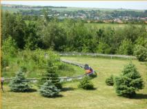 Allwetterrodelbahn Fiebich "Schöne Aussicht" – Bild 1