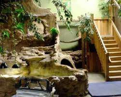 Reptilia Vaughan – Bild 1