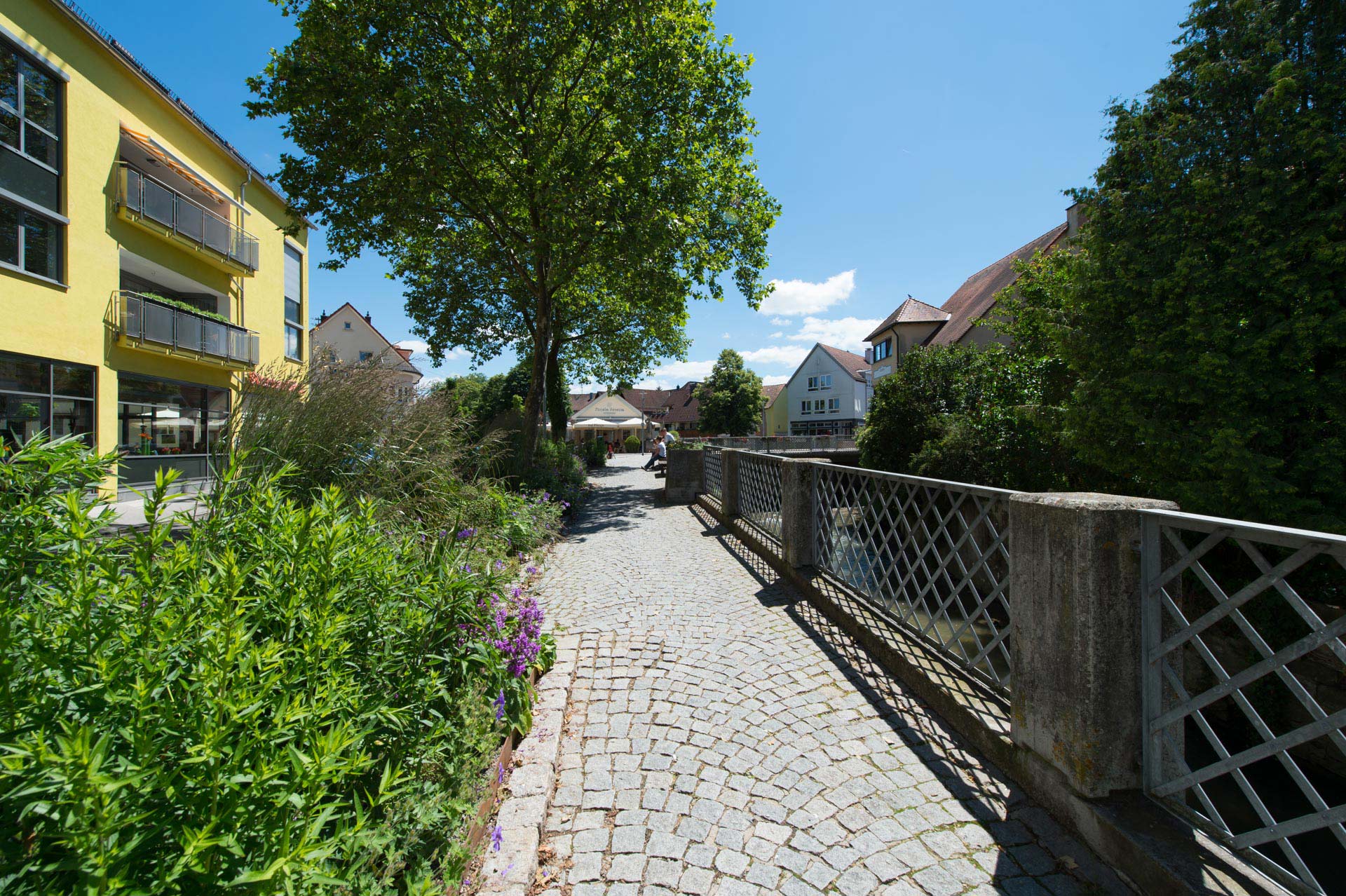 Starzelpark – Bild 5