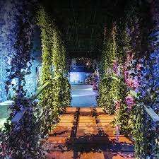 Monet Expo: The Immersive Experience - Toronto – Bild 2