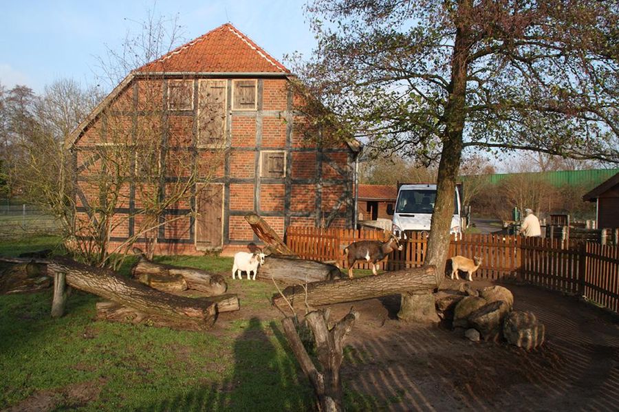 Kinderbauernhof Tenever St. Petri – Bild 3