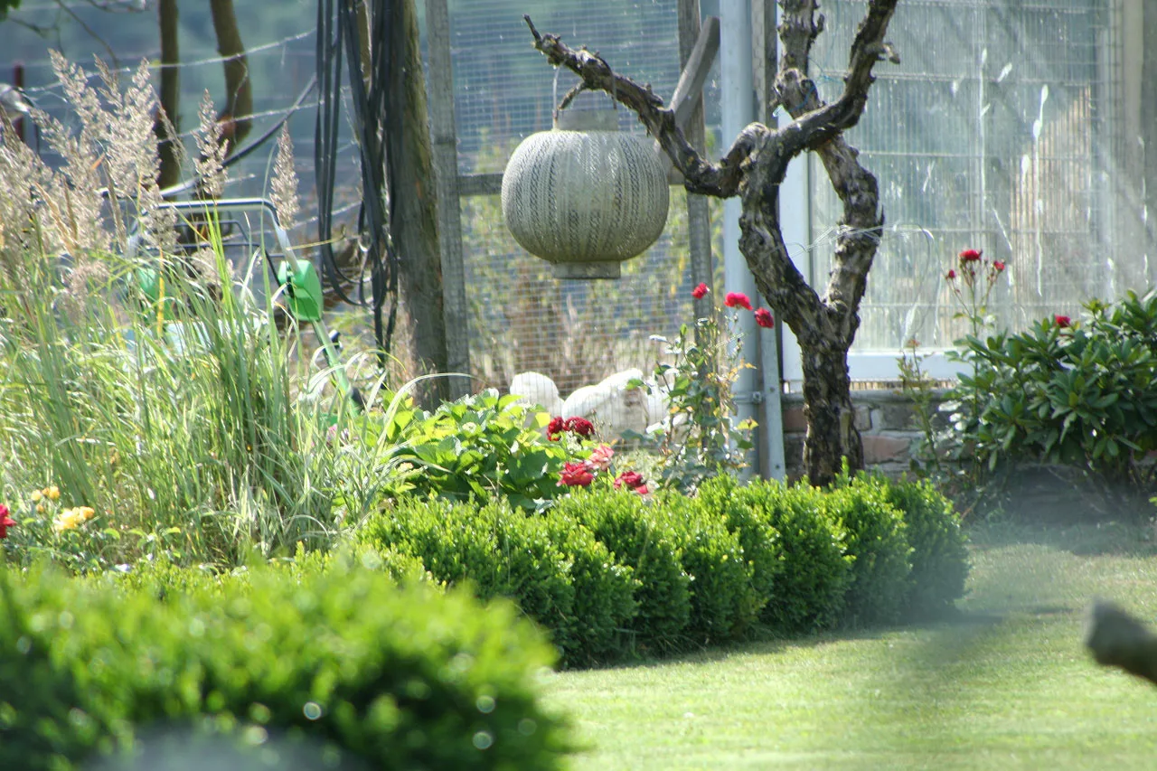 Biohof am Jakobsweg – Bild 1