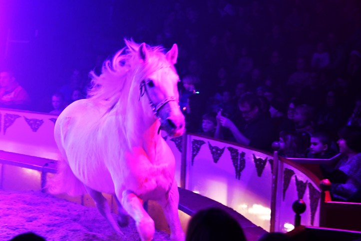 Circus Belly (Klaus Köhler) – Bild 5