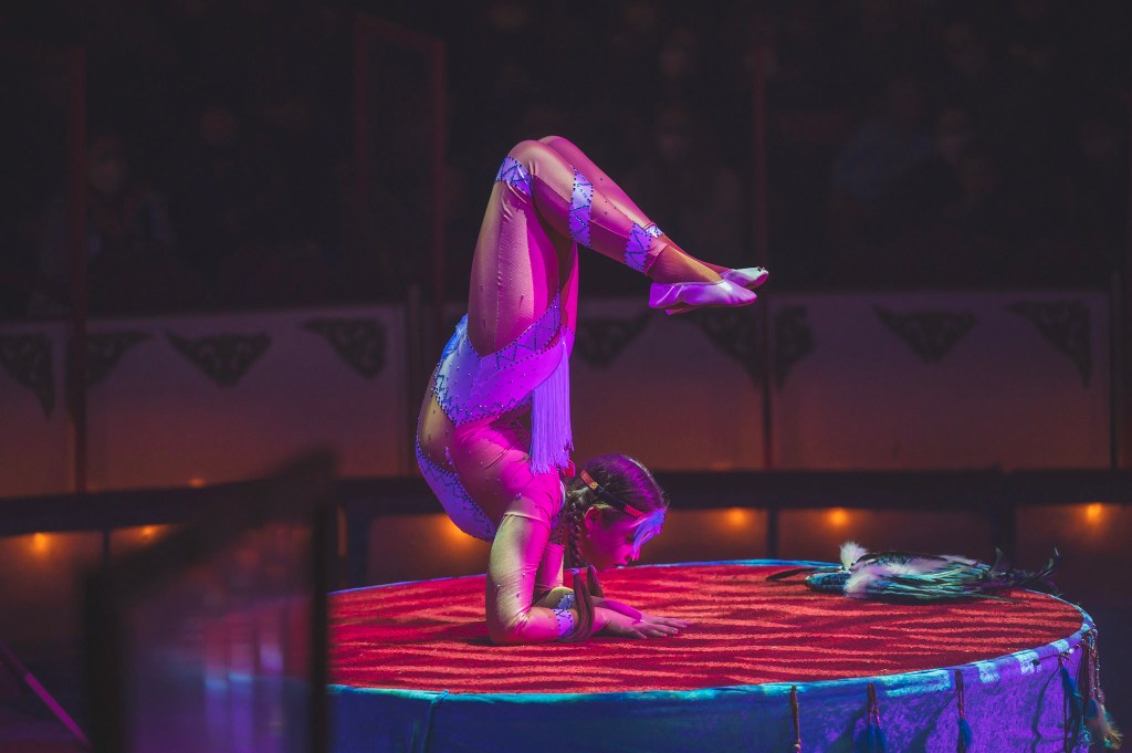 Circus Belly (Klaus Köhler) – Bild 6