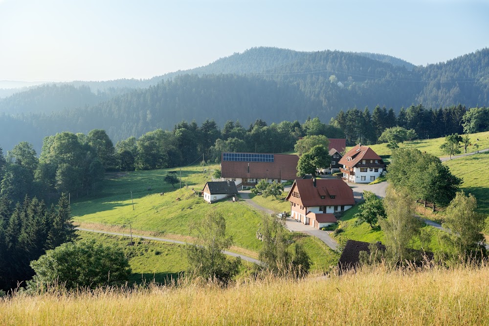 Simonshof – Bild 2