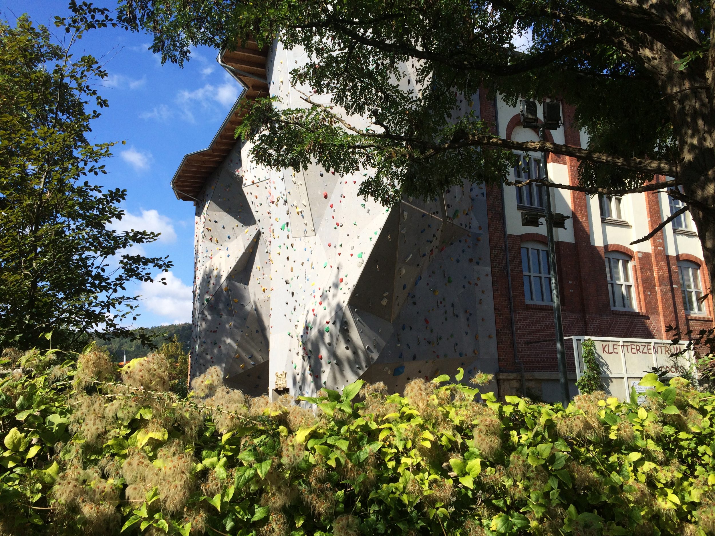 Kletter- und Boulderzentrum rocks. GmbH – Bild 2