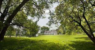 Jacques-Cartier-Park – Bild 3