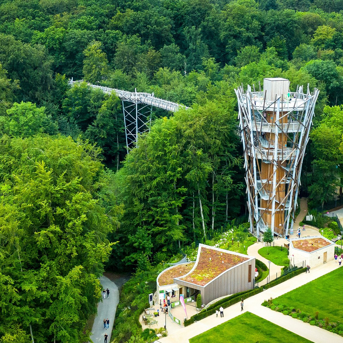 Kletterwald Bad Iburg – Bild 4