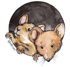 Spielgruppe Muuseloch – Bild 4