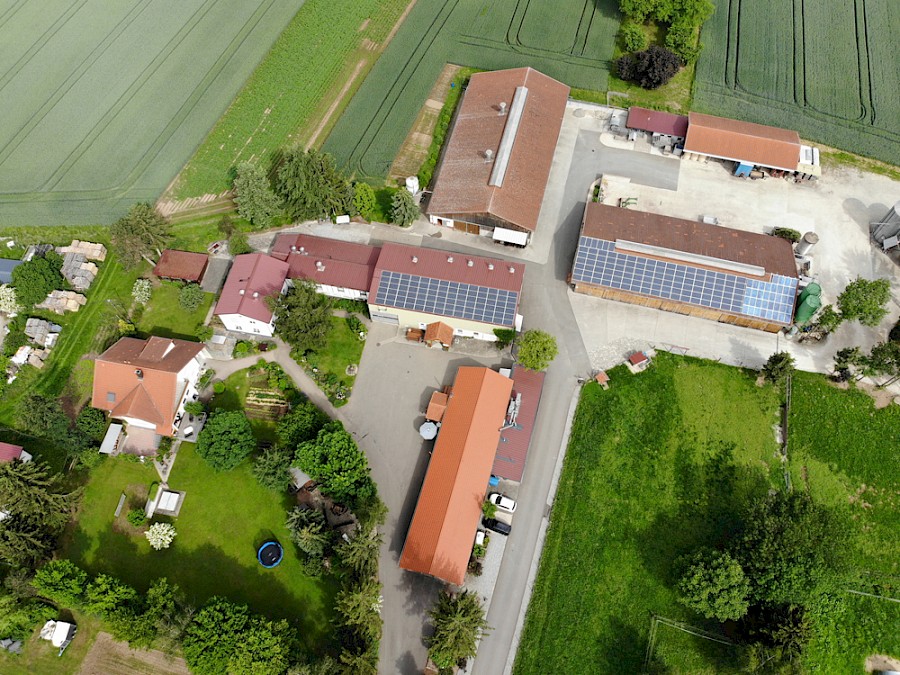 Drei Birkenhof Familie Kern – Bild 2