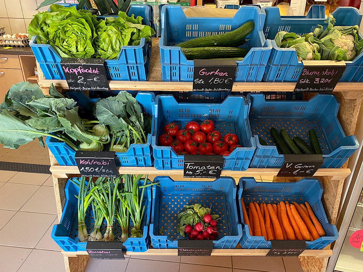 Drei Birkenhof Familie Kern – Bild 4