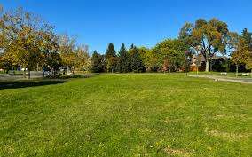 Carsbrooke Park – Bild 3