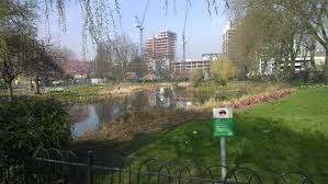 King George Park – Bild 2