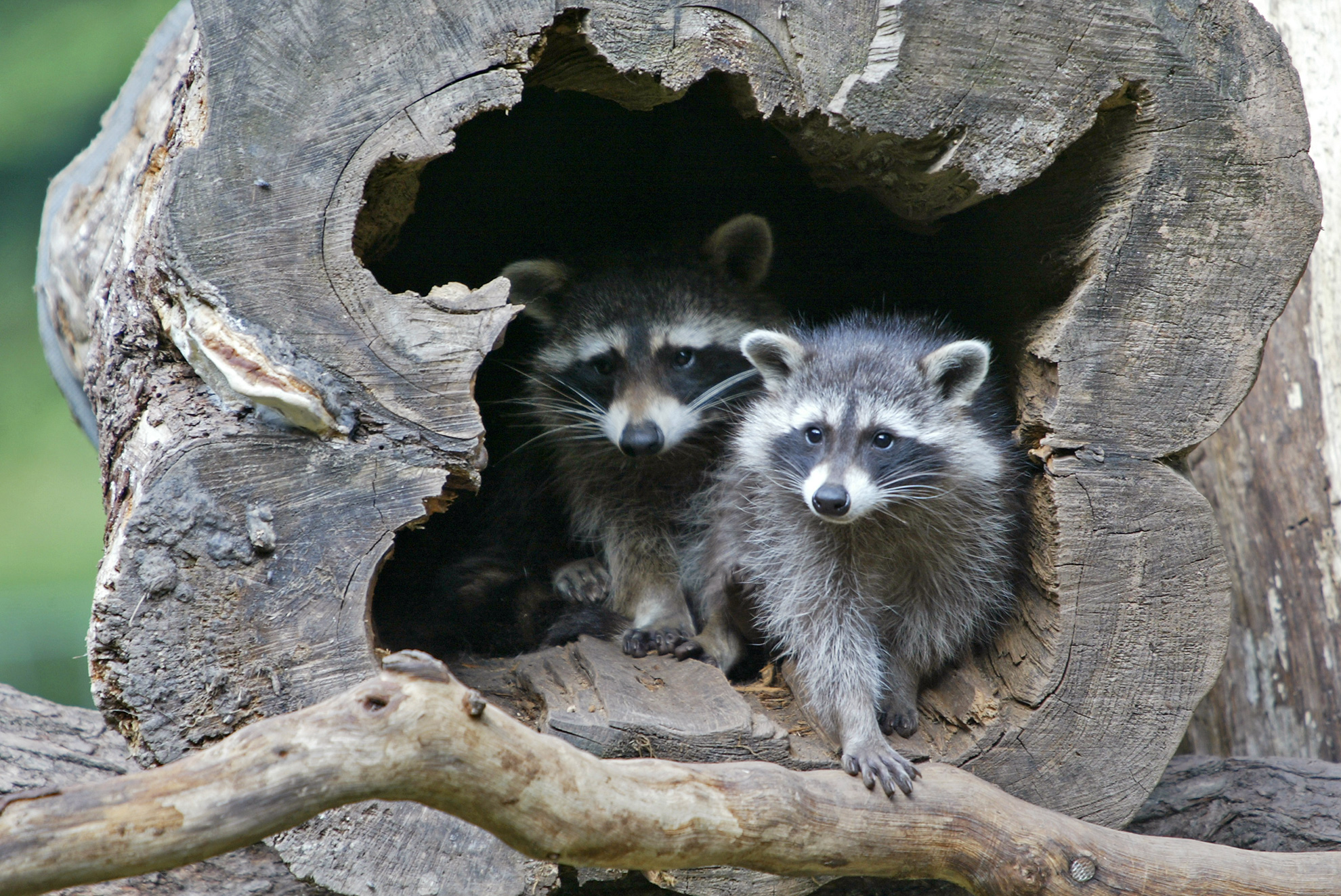 Möllner Wildpark – Bild 3